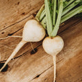White Egg Turnip - 250 Seeds - Tender, Sweet & Flavorful Roots, Easy Grow Vegetable, Non-GMO Heirloom Turnip Seeds for Planting in The Home Garden, Thresh Seed Company