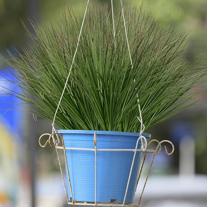 Ttranewsoo Artificial Grass,Fake Grass Artificial Shrubs Wheat Grass Greenery,Fake Grass Decor Artificial Plants Ornamental Grass Outdoor Fake Grass Green Leaves for Decoration(12PCS)