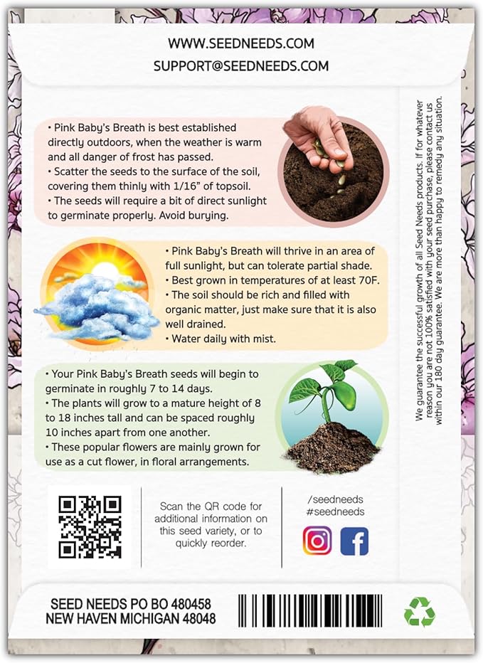 Seed Needs Pink Baby's Breath Seeds for Planting Rosy Pink Blooms - Heirloom & Open Pollinated Wildflowers to Attract Pollinators to a Butterfly Garden - Great for Cut Flowers (1 Pack)