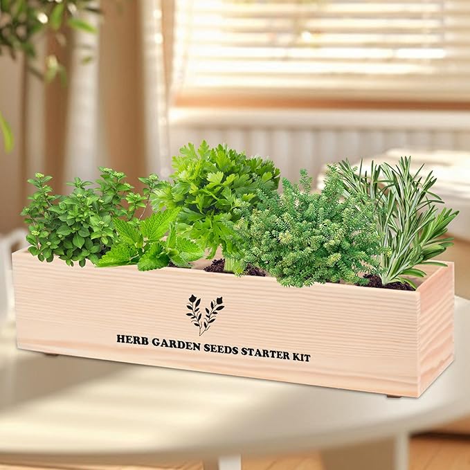 Indoor Herb Garden Starter Kit, Growing into Basil, Parsley, Rosemary, Thyme, Mint, Including A Wooden Box, Soil Discs & Planters with A Gift Box, Ideal Gifts for Women