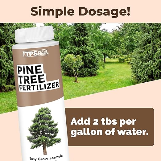Pine Tree Fertilizer - for Leyland Cypress & Evergreen Tree Care - Pushes Rapid Root Growth for Strong, Wind-Resistant Yard Trees - Liquid Plant Food, 8 oz