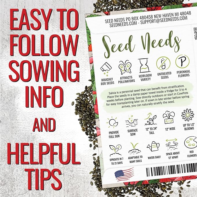 Seed Needs Salvia Seeds for Planting Scarlet Sage Flowers - Heirloom & Open Pollinated Perennial Wildflower Seed to Plant an Outdoor Butterfly Garden to Attract Pollinators (10 Packs)