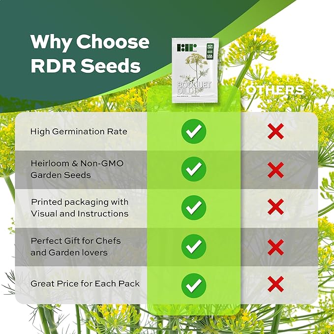 2000 Dill Seeds for Planting (Bouquet Variety) – Heirloom, Non-GMO, USA Grown Herb for Indoor/Outdoor Planting, Perfect for Pickling & Cooking by RDR Seeds