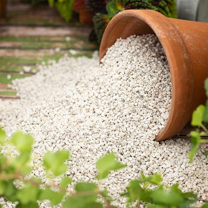 Organic Perlite for Plants, Soil Amendment for Enhanced Drainage and Growth, Ideal for Potting Mixes(4 Quart)