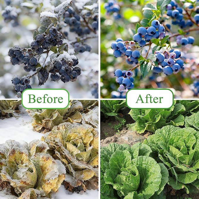 10ft x 50ft Plant Covers Freeze Protection Floating Row Cover 1oz/yd² Garden Fabric Plant Cover for Winter Frost Sun Bird Protection, Frost Blankets for Outdoor Plants, Winter Tree Frost Cloth