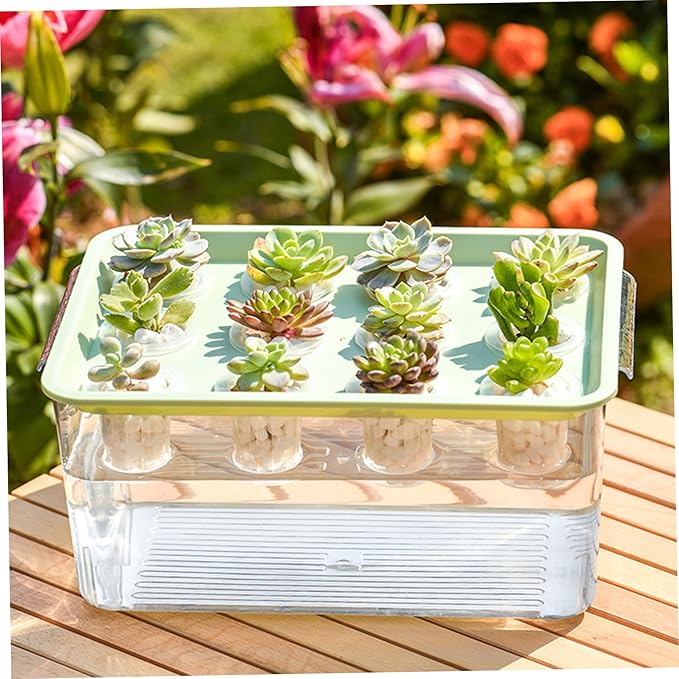 Hydroponic Planter Box, 12-Hole Transparent Aquaponics Growing System with Green Lid for Home, Balcony, or Desktop Decor.
