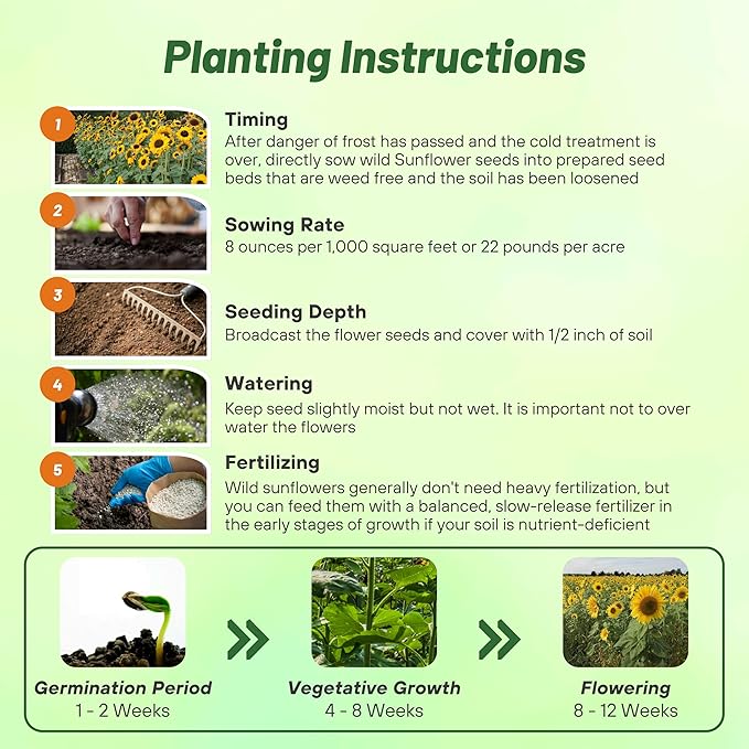 Outsidepride Wild Sunflower Seeds for Planting - 1 lb. Annual, Easy to Grow Flower Seeds w/Vibrant, Abundant Blooms for Cut Flower Arrangements & Pollinator & Vegetable Gardens