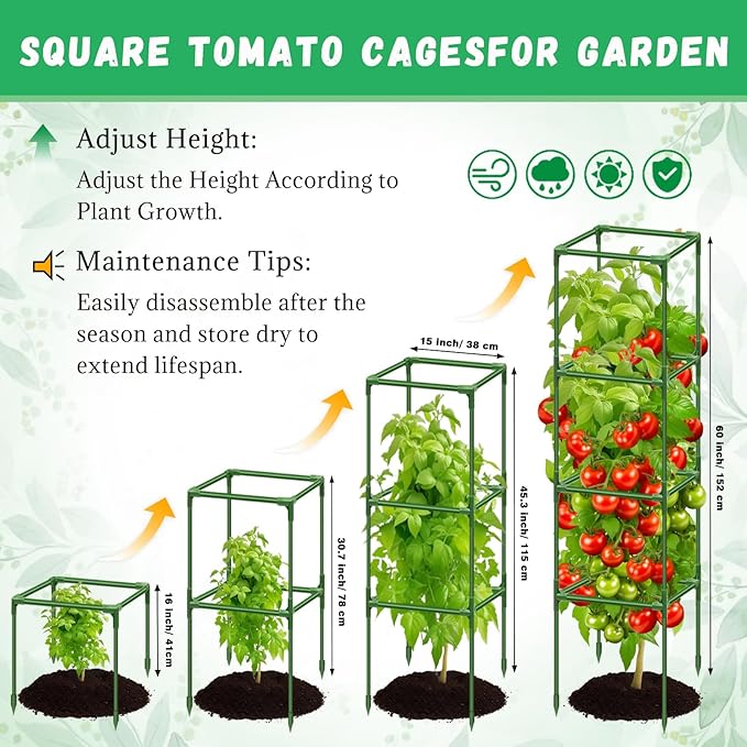 Riare 2 Pack Square Tomato Cages for Garden Plant Support- 60 Inch Heavy Duty Tomato Cage Garden Stakes Tomato Trellis for Climbing Plants Vegetables Flowers Outdoor Indoor