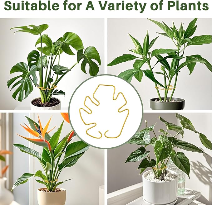 Monstera Plant Support for Indoor Plants Metal Plant Stem Holder Plant Support Ring for Climbing Plants Stem Stabilizer (6.29 * 7.08inch/ 5)