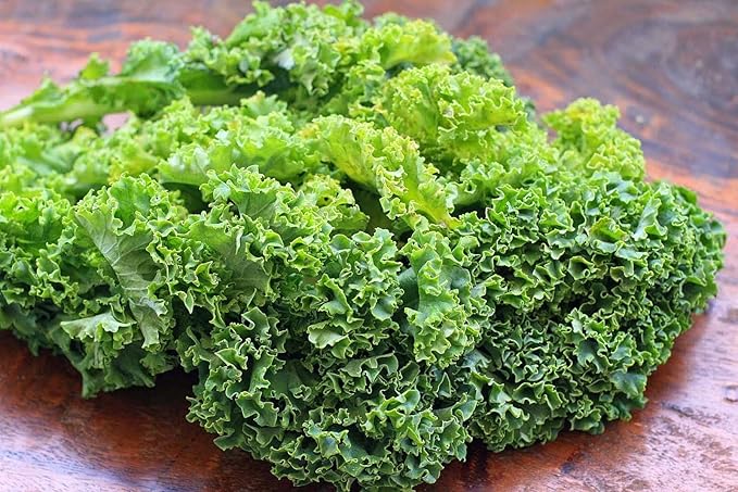 300+ Seeds Kale Bush Dinosaur Giant Cabbage - Vegetable Green