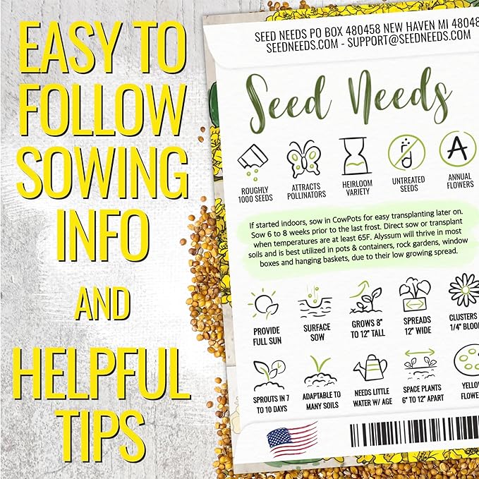 Seed Needs Alyssum Seeds for Planting Basket of Gold - Heirloom Annual Flowers to Attract Pollinators Butterflies & Bees to Outdoor Rock Gardens, Pots, Containers & Window Boxes (5 Packs)
