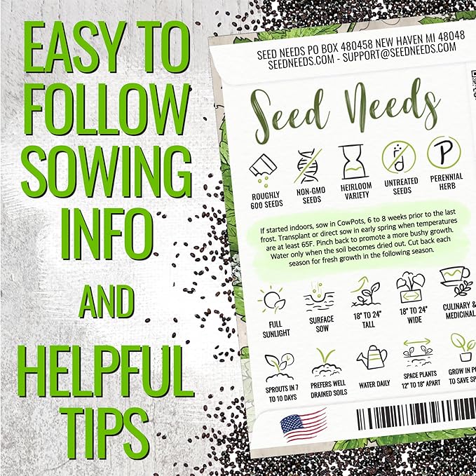 Seed Needs, Catnip Seeds for Cats - 600 Heirloom Seeds for Planting Nepeta cataria - Perennial Flowering Herb for Indoor Growing Non-GMO & Untreated (5 Packs)