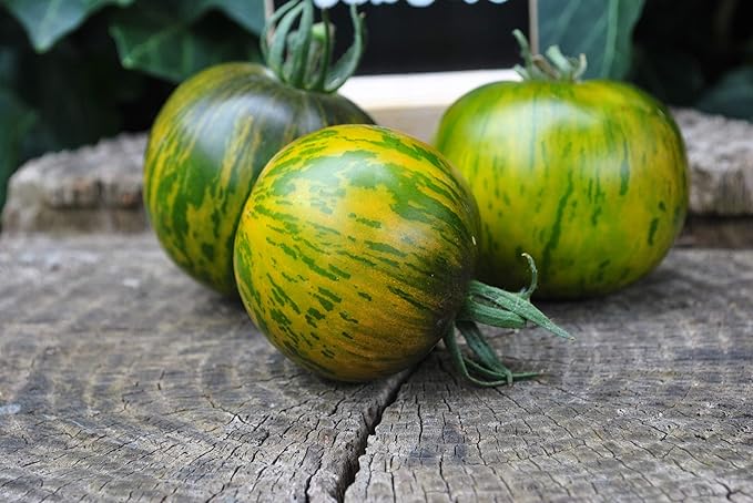 Seeds Vegetable Tomato Green Zebra Indeterminate - 50 Seeds