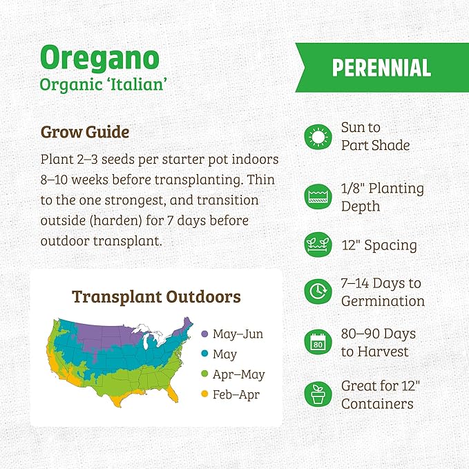 Back to The Roots 100% Organic Heirloom Seeds - Oregano Value Pack (140mg Total)