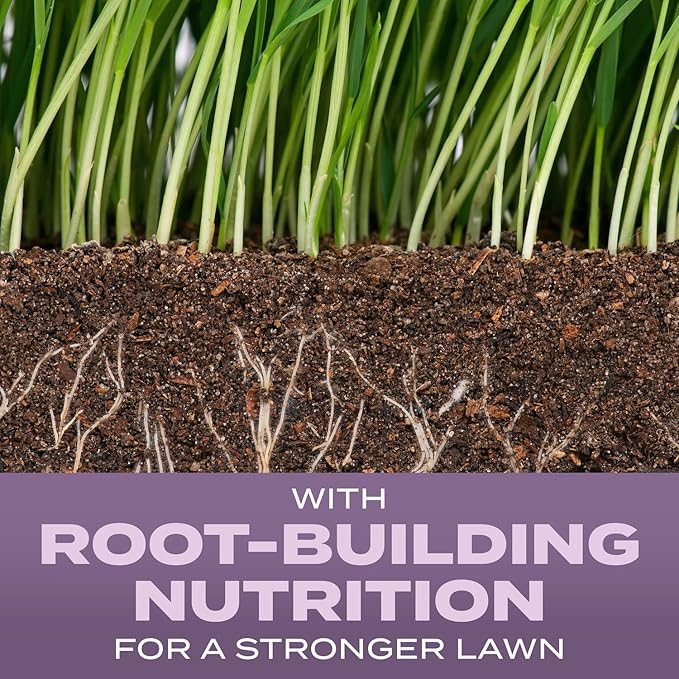 Scotts Turf Builder Grass Seed Perennial Ryegrass Mix with Fertilizer and Soil Improver, Establishes Quickly, 2.4 lbs.