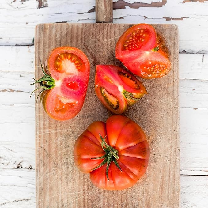 Back to The Roots 100% Organic Heirloom Seeds - Beefsteam Tomato Seeds for Planting Value Pack (200mg Total)