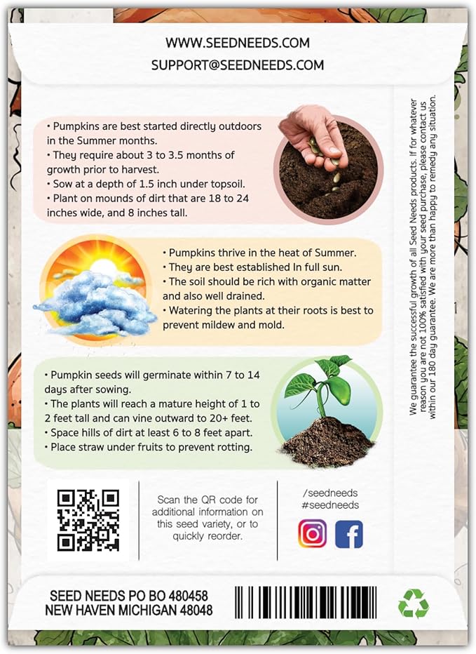 Seed Needs Pumpkin Seeds for Planting Atlantic Giant Pumpkins - Non-GMO Heirloom & Untreated Cucurbita Vegetable Seed to Plant an Outdoor Autumn Home Grown Veggie Garden (5 Packs)