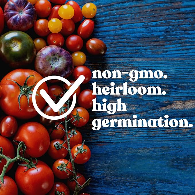 Tomato Seeds - Gardener's Delight - 0.25 Oz ~1,875 Seeds - Solanum lycopersicum - Farm & Garden Vegetable Seeds - Non-GMO, Heirloom, Open Pollinated, Annual