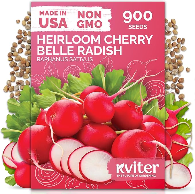 KVITER 900 Cherry Belle Radish Seeds (Raphanus sativus) - Non-GMO Vegetable Seed Packet, Crisp Mild Flavor - Organic & Heirloom Red Radish Seeds for Planting Vegetables in Outdoor & Indoor Garden