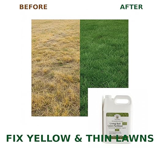 Liquid Lawn Fertilizer for Yellow & Heat-Stressed Grass – 5-3-4 Living Soil Lawn Food with Humic & Kelp – Lawn Recovery & Root Growth Fertilizer – Nature’s Way Soil – 1 Gallon