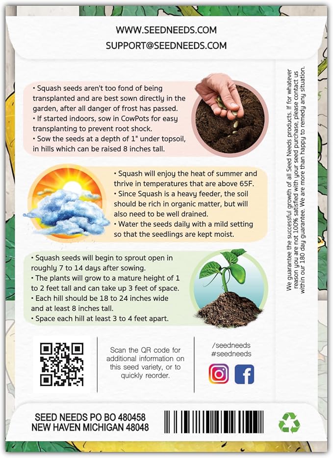 Seed Needs Crookneck Squash Seeds for Planting Summer Squashes - Non-GMO Heirloom & Untreated Cucurbita Seed to Plant an Outdoor Home Grown Vegetable Garden (1 Pack)