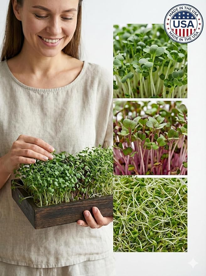 Todd's Seeds Sprouting Seed Mix; Broccoli, Radish, Alfalfa, Non-GMO, Chemical Free, High Germination (One Pound)