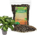 Gardenera Premium DIEFFENBACHIA Potting Soil Mix - Ideal for Growing Robust and Healthy Dieffenbachia - 2 Quart