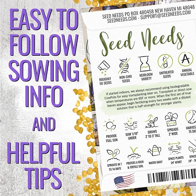 Seed Needs, Purple Tomatillo Seeds - 50 Heirloom Seeds for Planting Physalis ixocarpa - Non-GMO & Untreated Mexican Husk Tomato for Making Salsa (1 Pack)