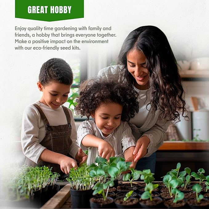 Fall & Winter Lemon Balm Seeds for Indoor & Outdoor Planting – 200+ Non-GMO Heirloom USA-Grown Fragrant Herb for Tea & Culinary Use with High Germination (Melissa officinalis)