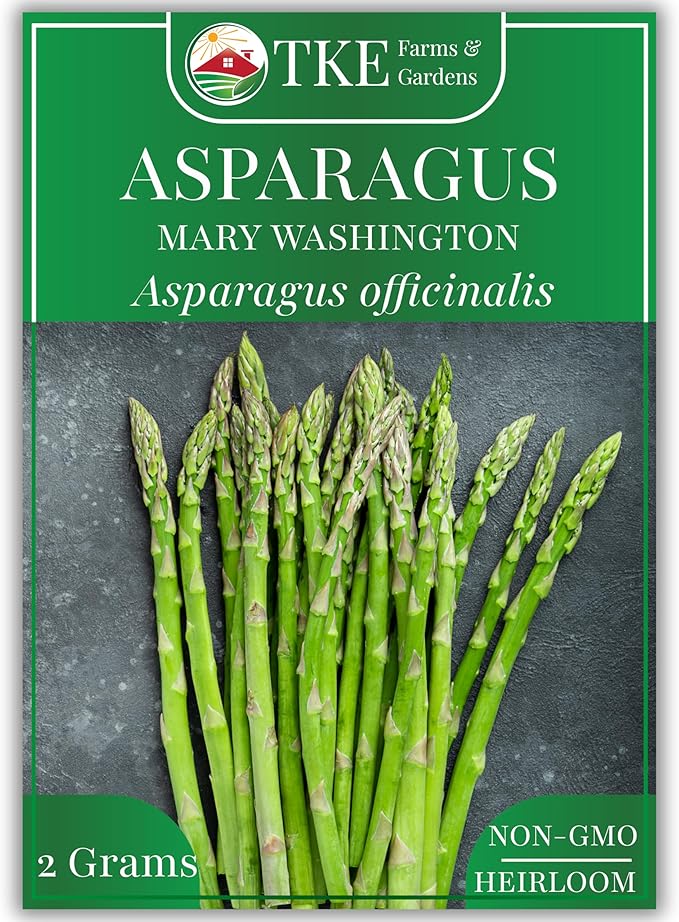 TKE Farms & Gardens - Mary Washington Asparagus Seeds for Planting, 85+ Heirloom Non-GMO Seeds, Tender Perennial Stalks with Rich Flavor, Perfect for Spring Gardens, Includes Growing Instructions