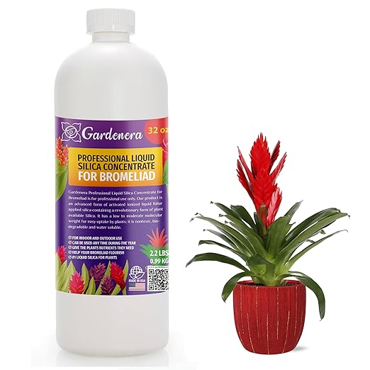 𝐏𝐑𝐎𝐅𝐄𝐒𝐒𝐈𝐎𝐍𝐀𝐋 Liquid Silica Plant Supplement - 32oz - BROMELIAD Plants Liquid Silica Boost Fertilizer - Stronger Stems & Healthy Leaves for Indoor & Outdoor Bromeliads (Makes 180 Gallons)