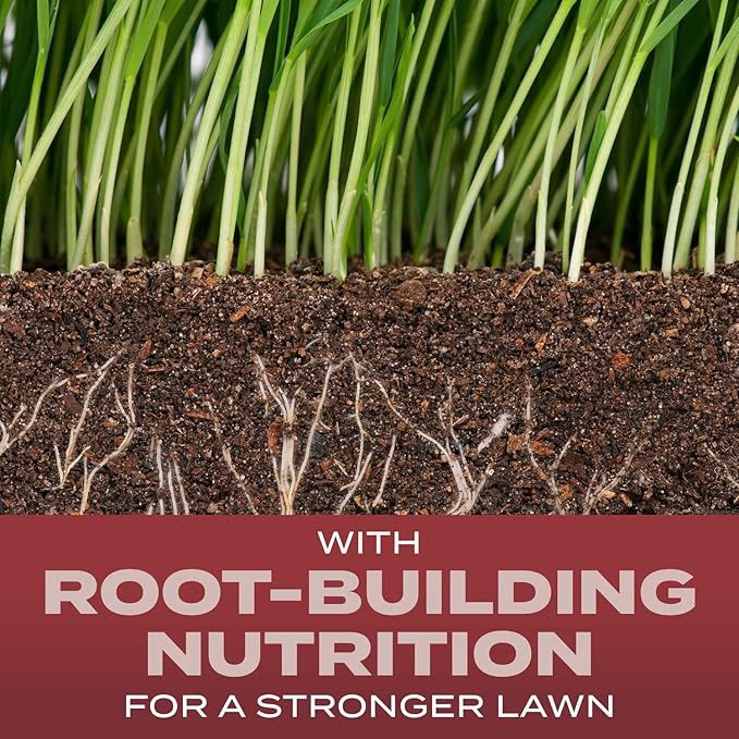 Scotts Turf Builder Grass Seed Sunny Mix with Fertilizer and Soil Improver, Thrives in Direct Sun, 2.4 lbs.