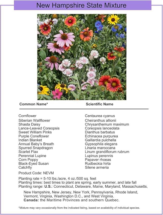 New Hampshire Bulk Perennial Wildflower Seed Mix 1lb Covers 2,000sq-ft - Attract Pollinators, Multi-Color Blooms - Northeast US Species Plant in Spring/Fall - Earth-Friendly Packaging (1 Pound)