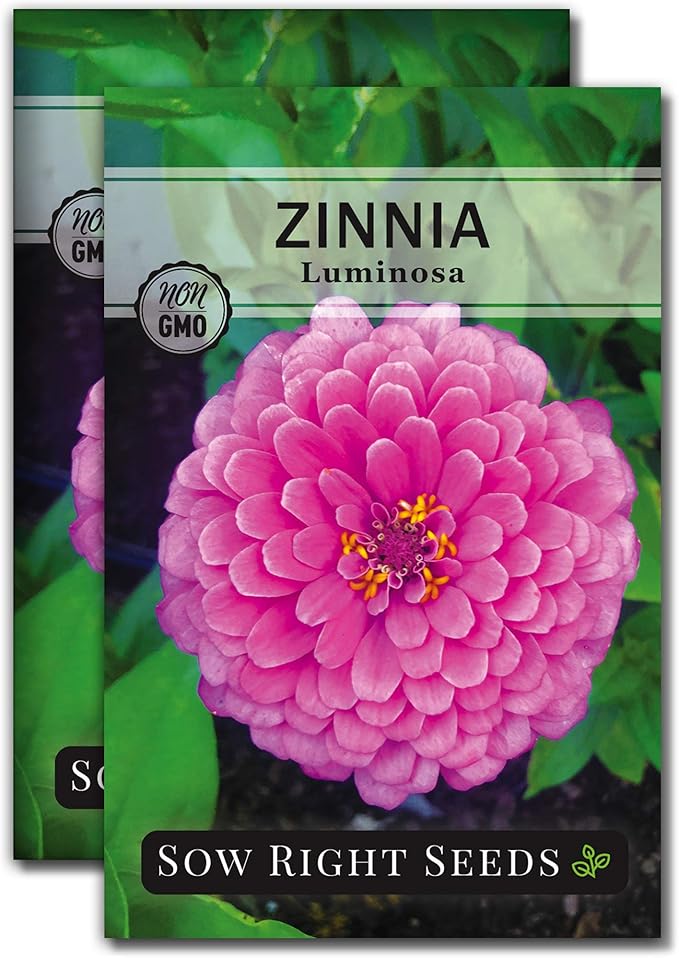 Sow Right Seeds - Luminosa Zinnia Flower Seeds for Planting - Non-GMO Heirloom Packet with Instructions to Grow - Heat & Drought Resistant - Huge Pink Blossoms - Beautiful to Plant in Your Garden (2)