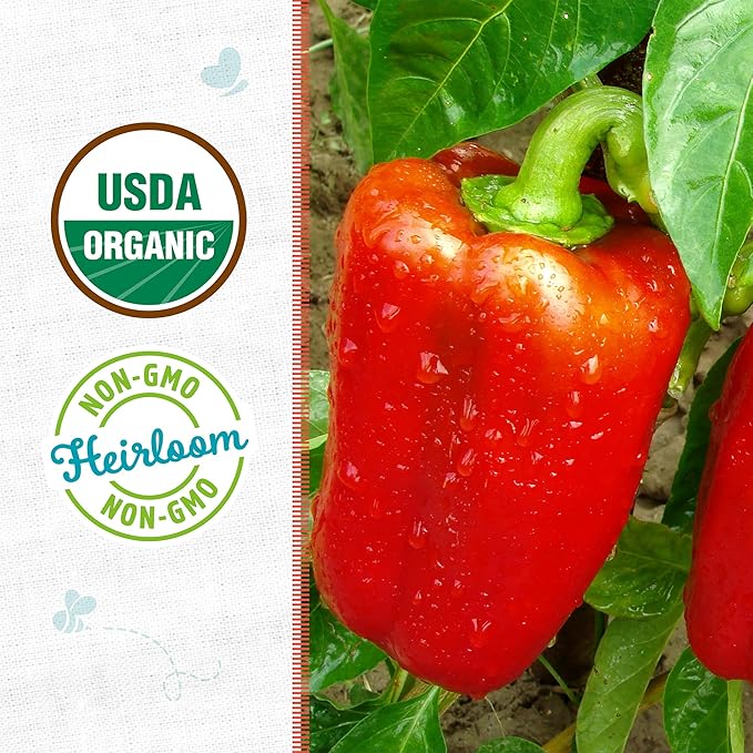 Back to The Roots 100% Organic Seed Packet Bell Pepper 'Sweet Cal Wonder'