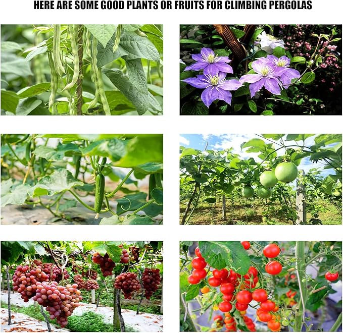 U-Shaped Cucumber Climbing pergola up to 56.5in, up to 46.5in, Outdoor Climbing Arched Plant Garden net, Vegetable Plant Support, loofah Climbing pergola
