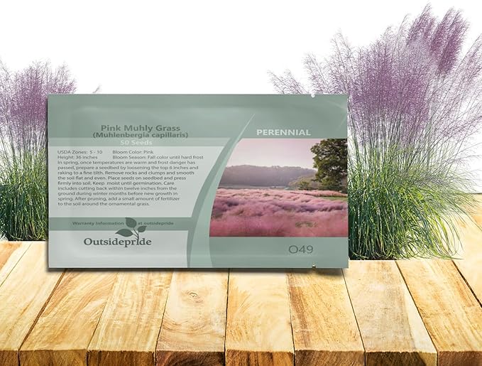 Outsidepride Pink Muhly Ornamental Grass Seeds - 100 Pcs, Perennial, Drought Tolerant, Low Maintenance, Ornamental Tall Grass Plants, Fast Growing for Landscaping, Outdoor Garden, Privacy Plants