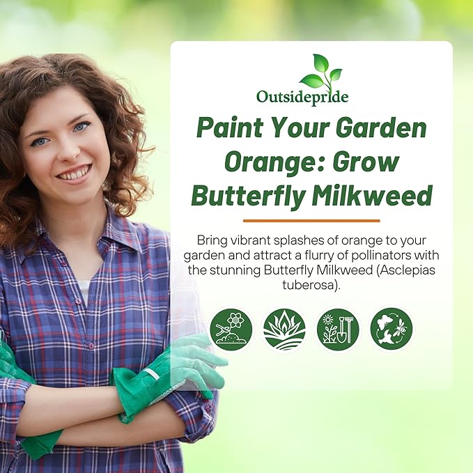 Outsidepride Butterfly Milkweed Seeds - 1000 Pcs Perennial, Heat & Humid Tolerant, Pollinator-Friendly Wildflower Seeds, Ideal for Monarch Butterflies, Cut Flowers, Borders, or Meadows