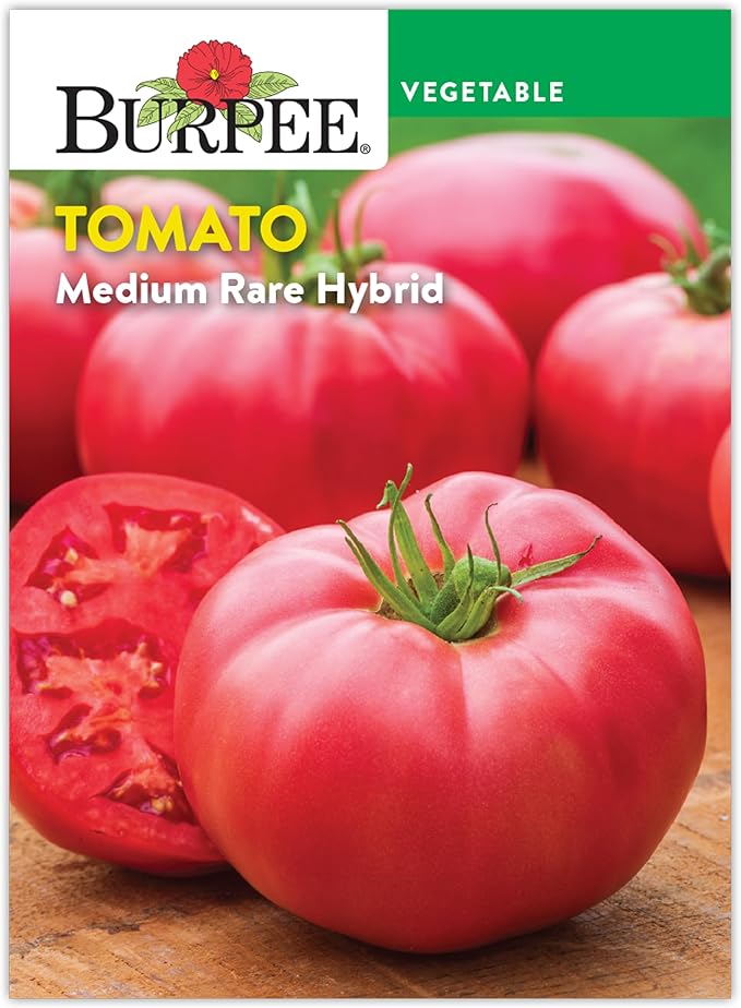 Burpee 'Medium Rare Hybrid' Tomato Seeds for Planting - Non-GMO, Indeterminate, Pink Beefsteak Slicing Tomato, 35mg Seed Packet for Home Garden