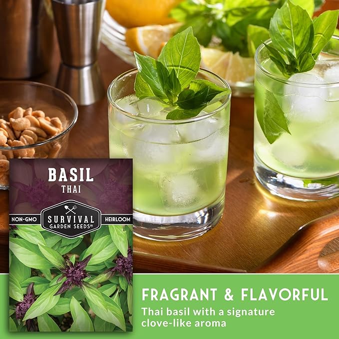 Survival Garden Seeds - Thai Basil Seed for Planting - 5 Packets with Instructions to Plant and Grow Asian Basil Indoors or Outdoors in Your Home Vegetable Garden - Non-GMO Heirloom Variety