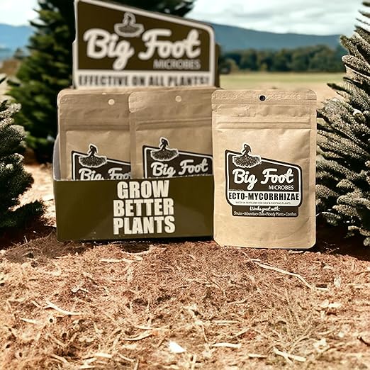 Big Foot Ecto Mycorrhizae Water Soluble Powder for Woody Plants - Shrubs, Arborvitae, Oak, Conifers, Christmas Trees - 2 Ounces