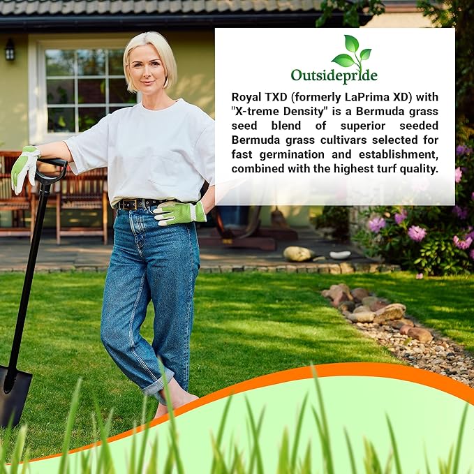 Outsidepride Royal TXD Bermuda Grass Seed Blend - 1 lb. Warm Season, Fast Growing Turf Grass Seeds: Heat & Drought Tolerant, Ideal for Home Lawns & Sports Fields, Dense & Lush Green Coverage