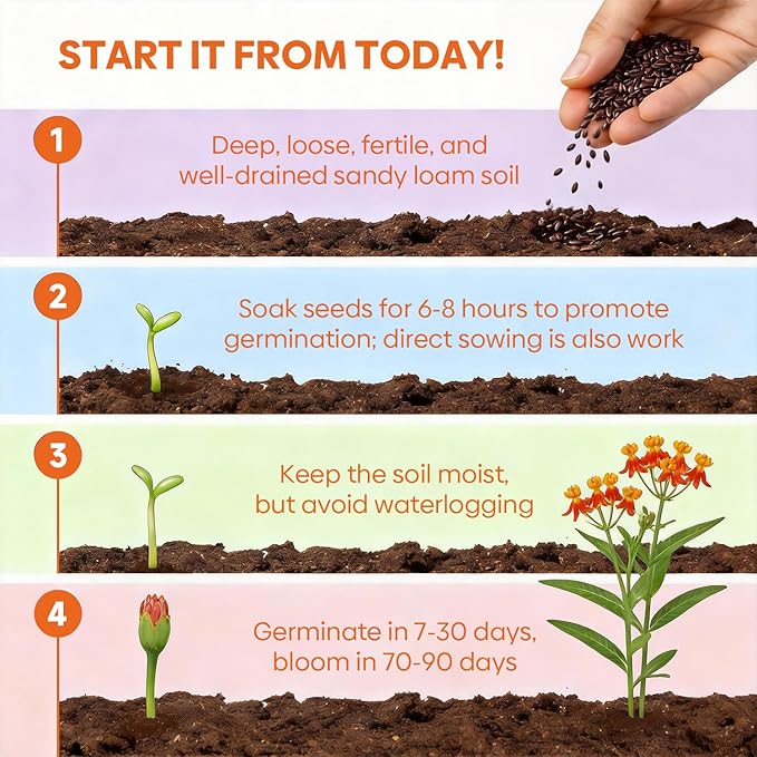 Milkweed Seeds for Planting to Attract Monarch Butterflies - 5 Individual Pack for Tropical, Butterfly, Common, Showy, Pink Swamp Non-GMO Milkweed Seed