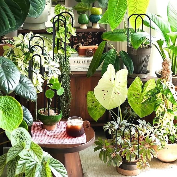SNAIL GARDEN 8 Pcs Small Trellis for Indoor Plants with 100Pcs Green Cable Zip Ties,4 Sizes Indoor Plant Trellis for Climbing Plants, U-Shaped House Plant Trellis for Potted Plants Hoya Ivy, Jasmine