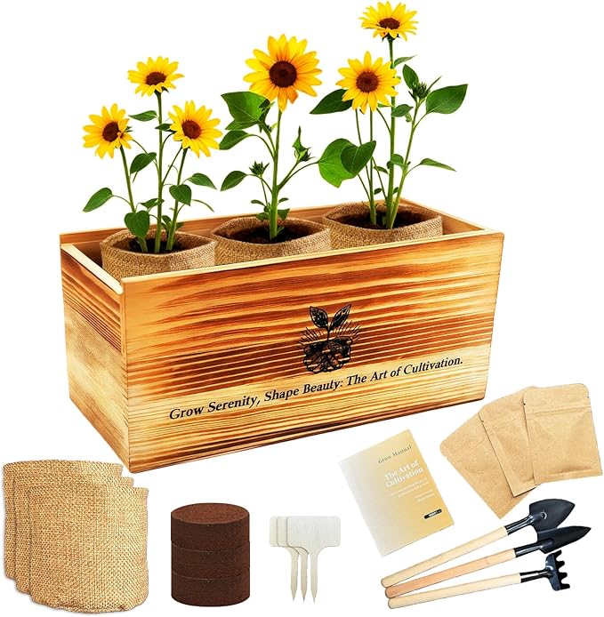 Sunflower Seed for Planting, Windowsill Plant Growing Kit with Planting Bags, Coir Soil & Tools Indoor Garden Plant Starter Kit, Sunflower Gifts, Gardening Gifts for Women & Men