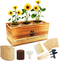 Sunflower Seed for Planting, Windowsill Plant Growing Kit with Planting Bags, Coir Soil & Tools Indoor Garden Plant Starter Kit, Sunflower Gifts, Gardening Gifts for Women & Men