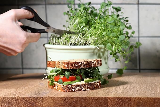 Organic Broccoli Seeds for Sprouting Microgreens – Heirloom, Non GMO Seeds to Plant & Grow Organic Di Cicco Broccoli in Home Indoor Hydroponic Gardens – Great Gardening Gift (1 Ounce)