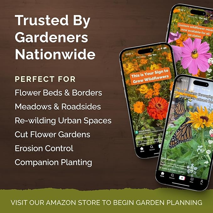 Eden Brothers Zinnia Seeds - Meteor, Non-GMO Seeds for Planting, Packet | Low-Maintenance Flower Seeds, Plant During Spring, Zones 3, 4, 5, 6, 7, 8, 9, 10