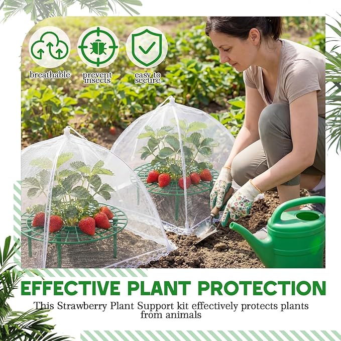12 Sets Round Strawberry Plant Support with Mesh Plant Cover, Strawberry Growing Kit with Iron Nails for Garden Vegetables Keep Berries Clean