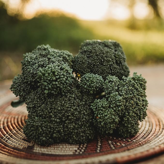 Waltham 29 Broccoli - 100 Seeds - Heirloom Broccoli Variety, Sweet & Tender Florets, Non-GMO Broccoli Seeds for Planting in The Home Garden, Thresh Seed Company